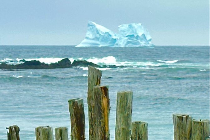 4 Hour St John'S Tour W Come From Away Star (Lunch Included) - Tour Details and Inclusions