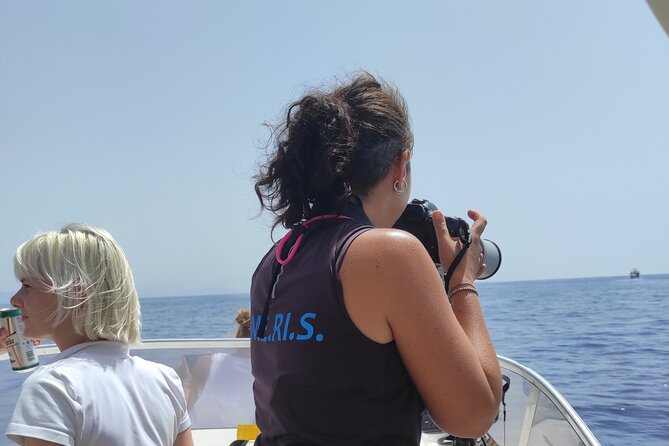 4 Hours Dolphin Watching Tour in Porto Empedocle - Booking Information