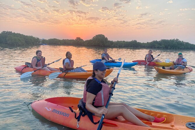 4 Hours Purple Island Mangroves Kayaking Adventure in Qatar - Kayaking Experience and Highlights