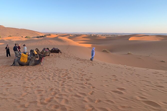 44 Jeep Desert Safari Tour With Lunch and Camel Ride - Tour Details