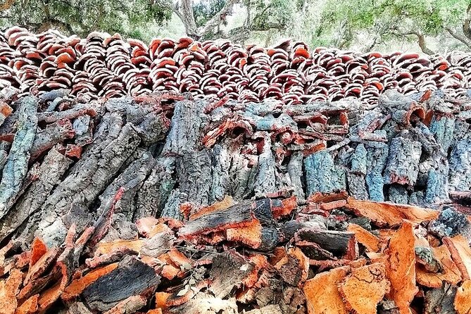 4x4 Cork Tour With Lunch & Wine Tasting - Visit to a Local Cork Farm