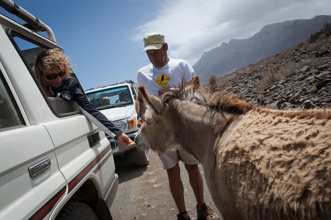4X4 Safari: Jandía Natural Park and Cofete - Booking and Availability