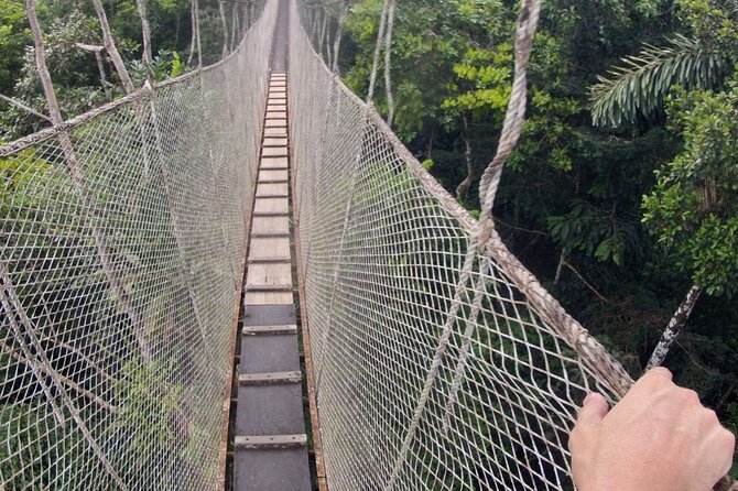 5-Day All Inclusive Guided Jungle Tour From Iquitos at Maniti Eco-Lodge - Inclusions in the All-Inclusive Tour