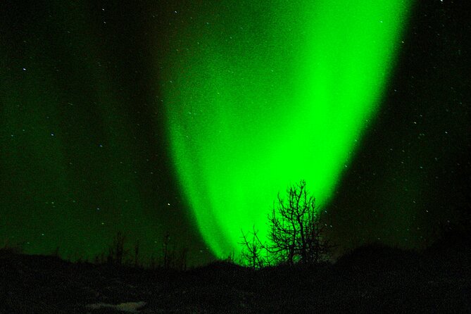 5 Days Northern Lights Trailblazers in Iceland - Pricing and Booking Details