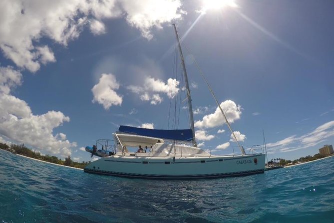 5-Hour Small-Group Catamaran Cruise From Bridgetown With Lunch - Activities and Sightings