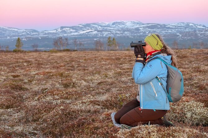 5-Hour Sweden Private Guided Evening Hike Spotting the Lek: the Great Snipe - Overview and Highlights of the Evening Hike
