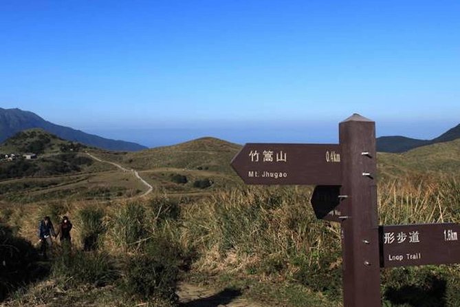 5-Hour Vegetarian Private Tour - Visit Yangmingshan and Taste Veggie Cuisine - Pricing and Booking