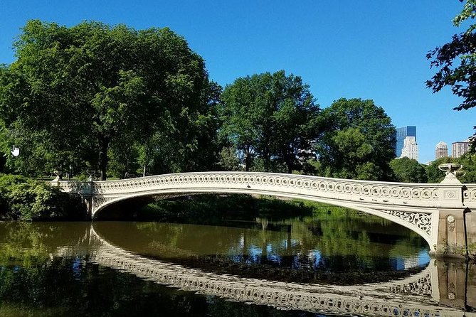 50 Minutes Central Park Horse and Carriage Tour Up to 4 Adults - Tour Details