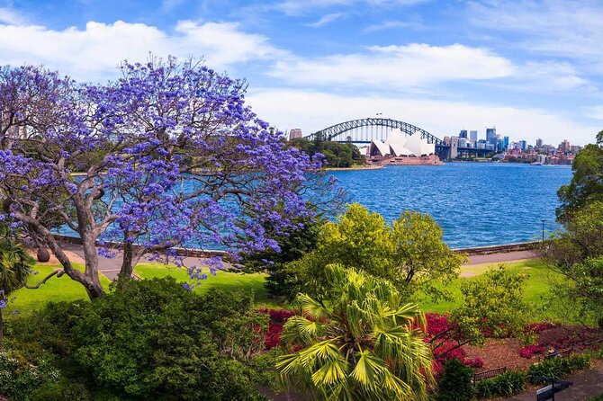 6 Courses of Sydney! the Sydney Tour With an Appetite for Delicious Food & Views - Sydney Harbor Bridge: Iconic Views and Delectable Cuisine