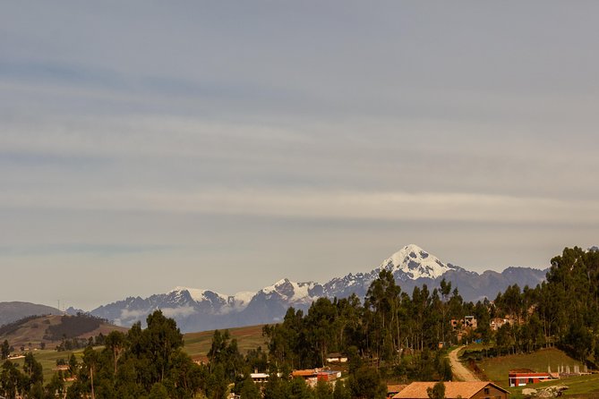 6 Day Best of Peru: Cusco, Machu Picchu and Lake Titicaca Tour - Uros Floating Islands