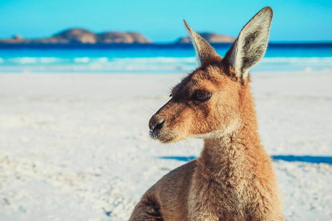 6 Day Esperance & Margaret River Adventure Tour - Tour Details