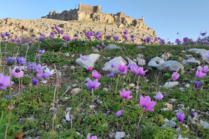 6-Hour Guided Tour in the Main Ancient Attractions of Rhodes - Tour Duration and Logistics