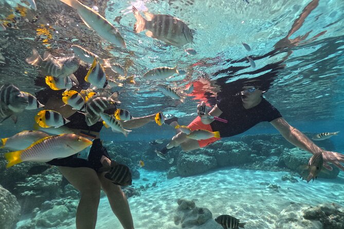 6-Hour Jetski Excursion Around Raiatea - Cancellation Policy