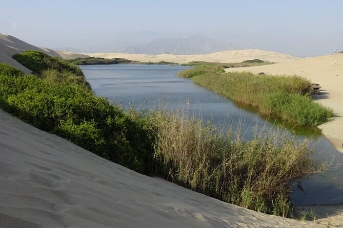 6-Hour Moron Lagoon Desert Guided Tour From Ica - Tour Confirmation and Accessibility