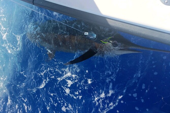 6 Hour Private Fishing Charter Kona, Hawaii - Meeting and Pickup