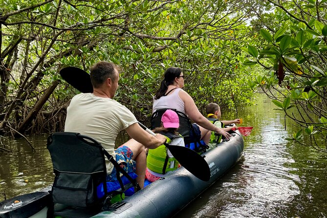 6-Hr Tropical Mangroves, Coastal River and Ocean Wildlife Watch - Equipment and Safety Measures