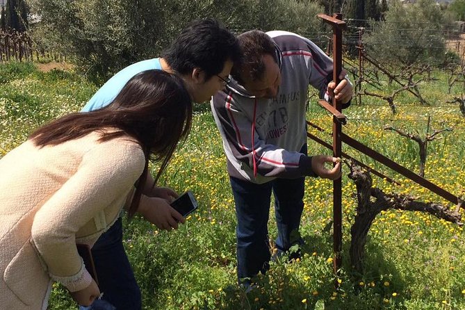 6. Organic Olive Oil and Vinegar Tasting - Vinegar Tasting