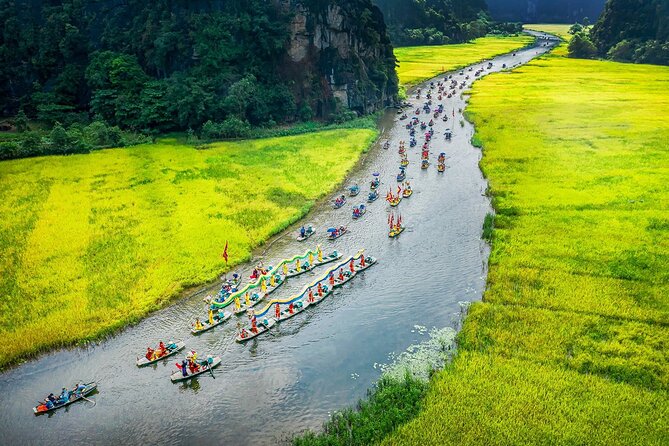 7 Days Vietnam Travel (Hanoi- Ninh Binh - Sapa - Ha Long) - Day 2: Exploring Ninh Binh
