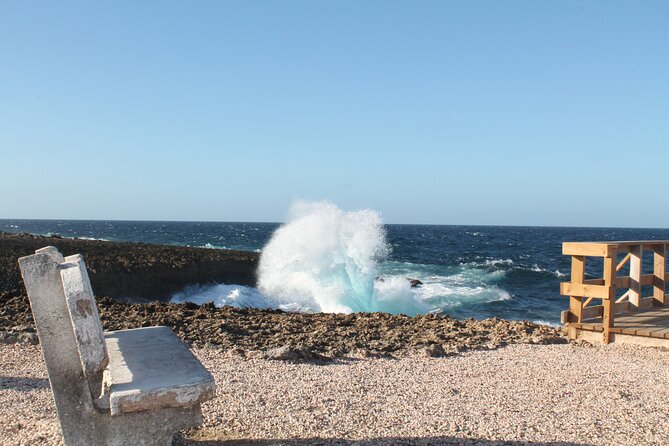 7-Hour Turtle Outback and Snorkel Safari in Willemstad - Inclusions and Itinerary