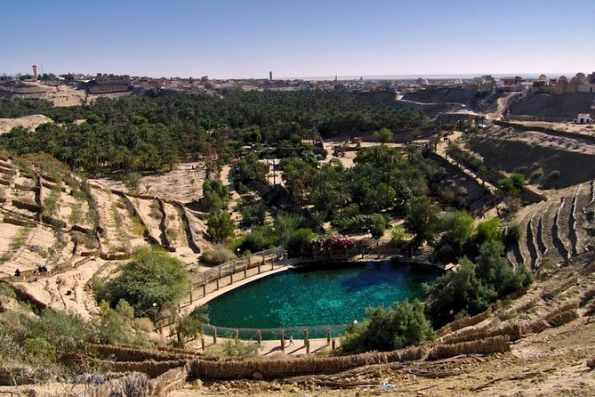 8 Days Tunisia Essential Discovery Private Tour - Tour Overview