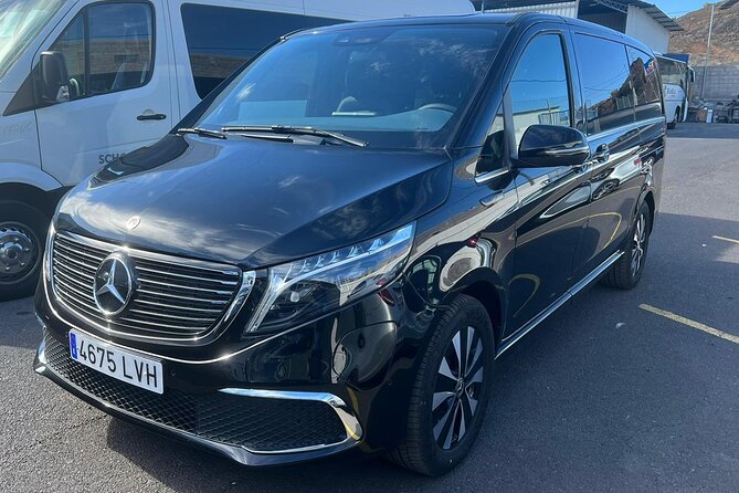 8-Hour Rental in a Luxury Car and Driver/Official Private Guide in Tenerife - Inclusions