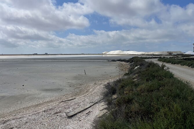 8 Hours Visit to the Camargue and the Salins D'Aigues-Mortes - Discovering the Salins DAigues-Mortes