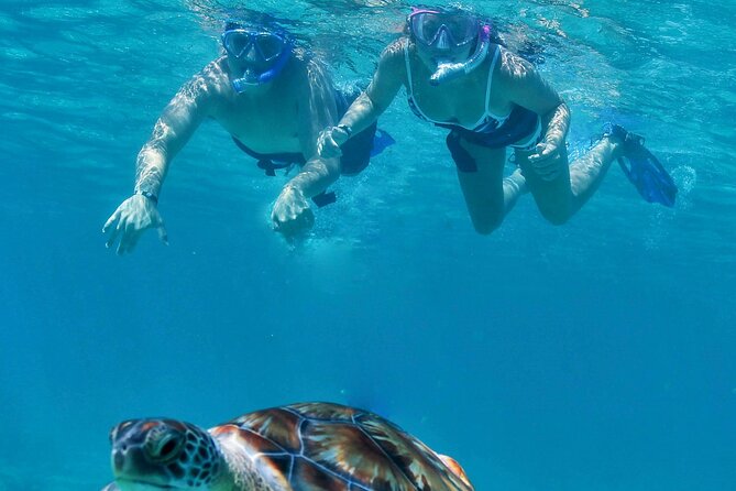 A Half-Day Riviera Maya Catamaran Tour, With Lunch  - Playa Del Carmen - Tour Details