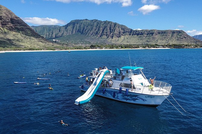 A Legal Private Dolphin Swim With Sea-Slide, Upto 15 Passengers - Charter a 55-Foot Power Boat