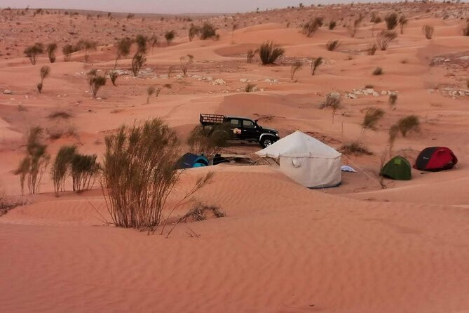A Private Night at Desert Douz Tozeur - Overview and Inclusions