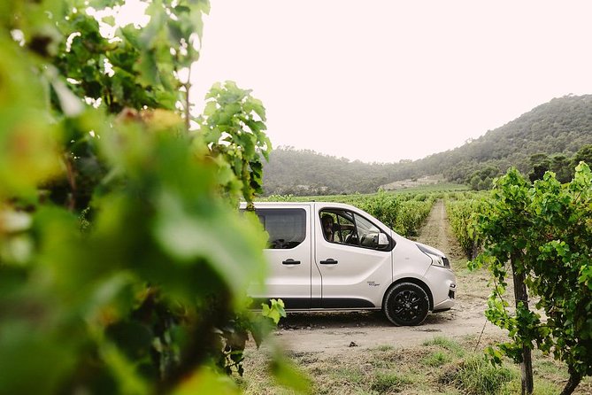 A Stay in the Montpellier Countryside - Private Evening Tour