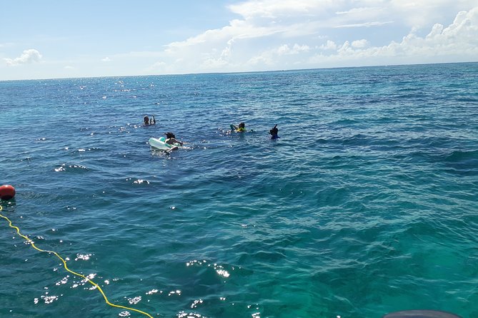 A Unique Private Snorkel Tour of Key Largo - Overview and Details