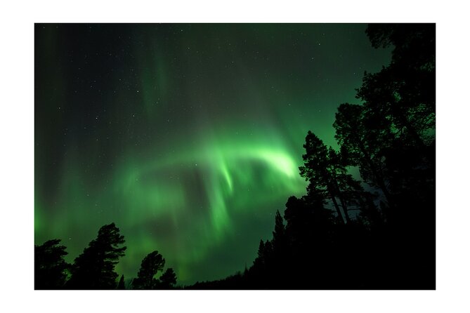 Abisko Northern Light Budget Tour - Tour Overview