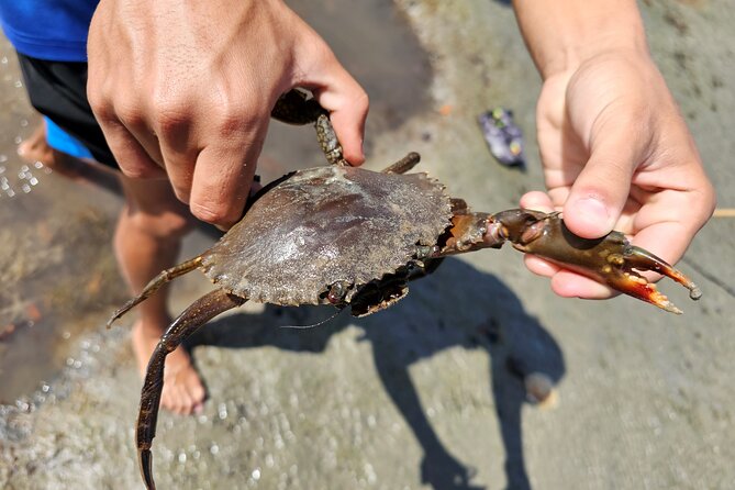Aboriginal Fishing & Beach Day Tour Daintree Crocodile Cruise - Overview
