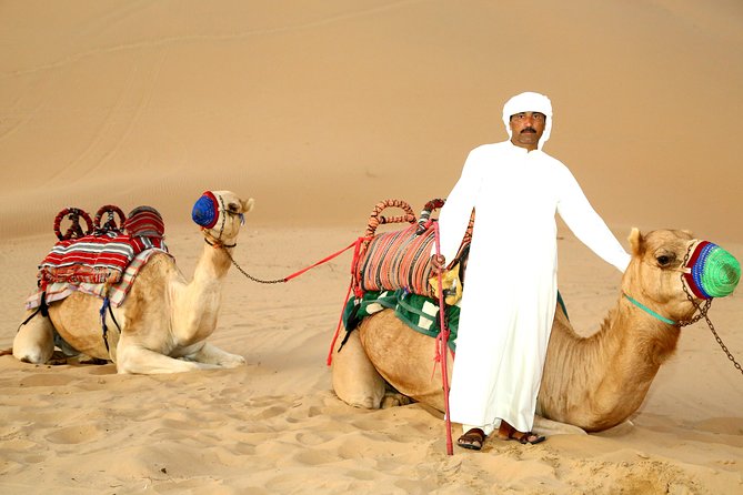 Abu Dhabi Afternoon Desert Safari and BBQ Dinner - Highlights of the 4WD Adventure