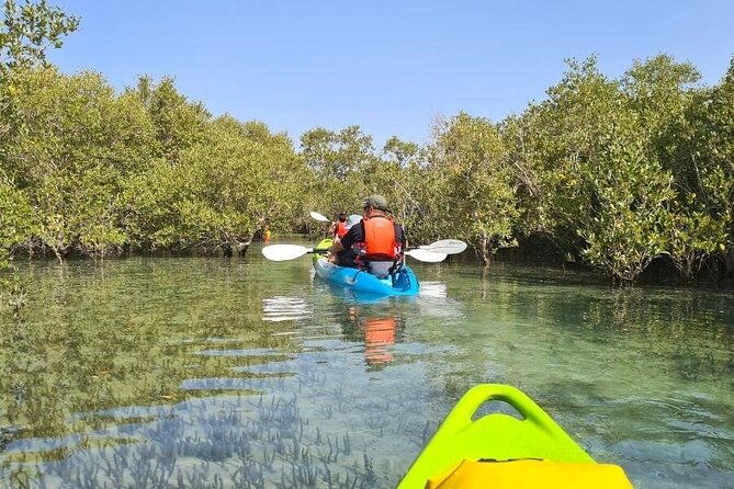 Abu Dhabi City Tour With Kayaking in Eastern Mangroves - From DXB - Overview and Inclusions