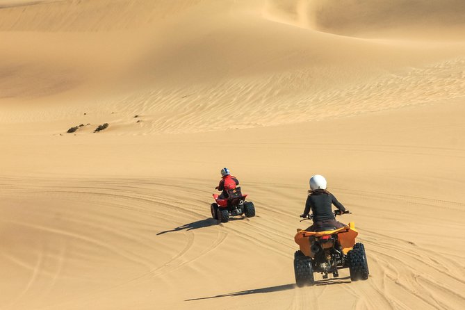 Abu Dhabi Desert Group ATV Ride - ATV Tour Highlights