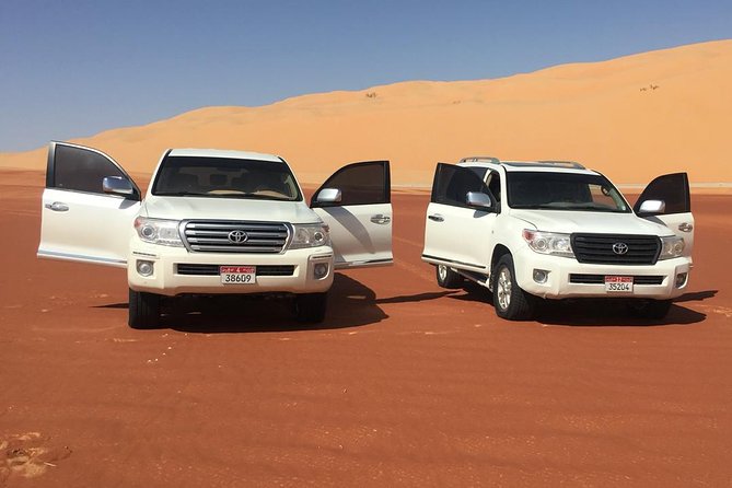 Abu Dhabi Desert Safari With BBQ Dinner & Shows - Overview of Abu Dhabi Desert Safari