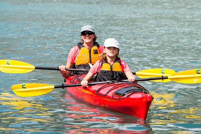 Abu Dhabi Mangrove Kayaking Tour - Tour Overview