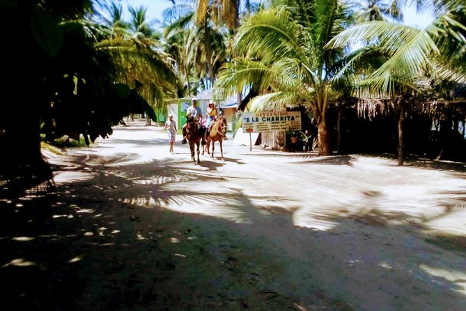 Acapulco Beach Horseback Riding Tour With Baby Turtle Release - Pricing and Booking