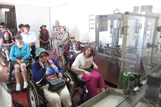 Accessible Valencia: Private, Accessible Wine Tour With Lunch - Tour Details and Itinerary