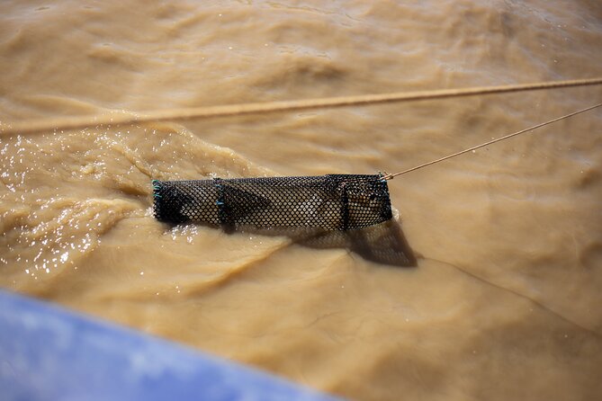 Accompany the Last Professional Fisherman of Bordeaux (On the Garonne) - History of Professional Fishing in Bordeaux