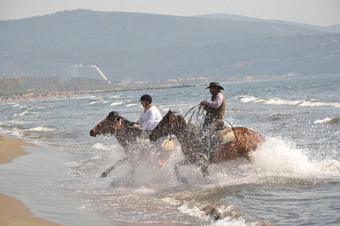 Adventure Horse Riding From Kusadasi / Selcuk Hotels - Small-Group Horseback Riding Tour