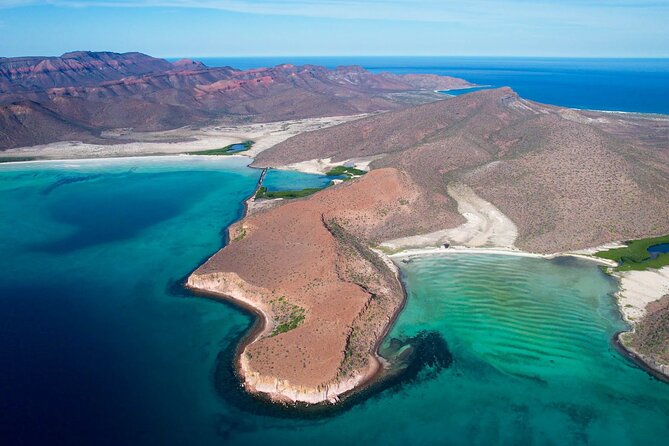 Adventure to Espiritu Santo Island: Snorkel With Sea Lions and Beach - Snorkeling With Sea Lions