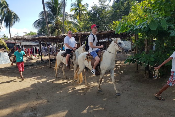 AfroMex Village Beach Horseback Baby Turtle Release & Crocs Farm - Pricing and Booking Details