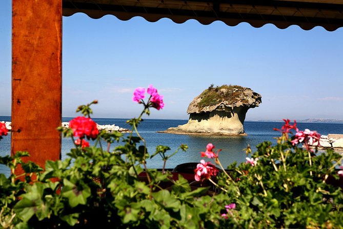 Afternoon Tour of the Island of Ischia by Bus - Questions