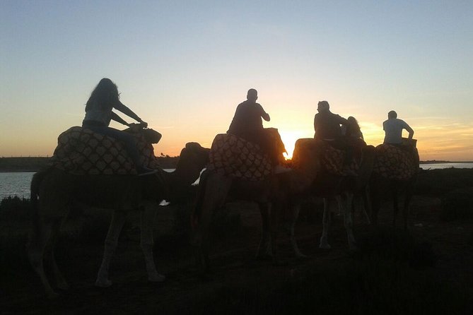 Agadir Camel Riding Sunset and Dinner( Barbecue) - Mixed Feedback