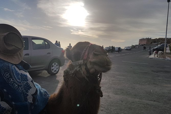 Agadir City Tour - Tour Overview