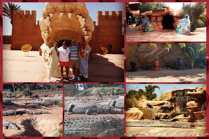 Agadir Crocopark Round-Trip Transfer - Overview