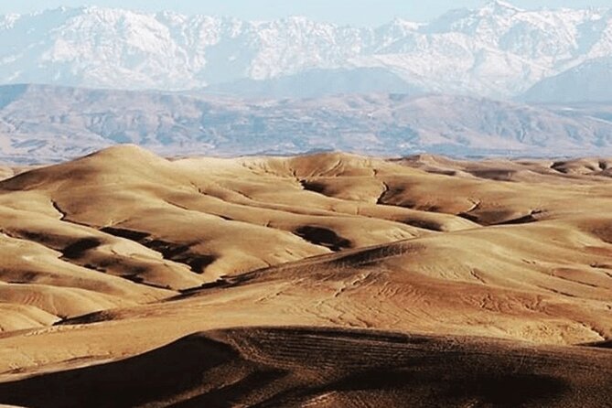 Agafay Desert Package, Quad Bike, Camel Ride and Dinner Show - Quad Bike Experience in the Agafay Desert