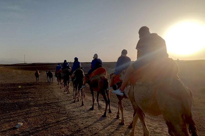 Agafay Half Day Rocky Desert Experience – Quad Bike & Camel Ride - Quad Biking in the Agafay Rocky Desert